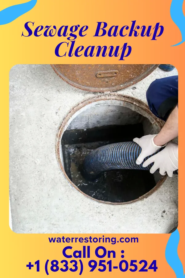 Sewage Backup Cleanup in German Valley, IL