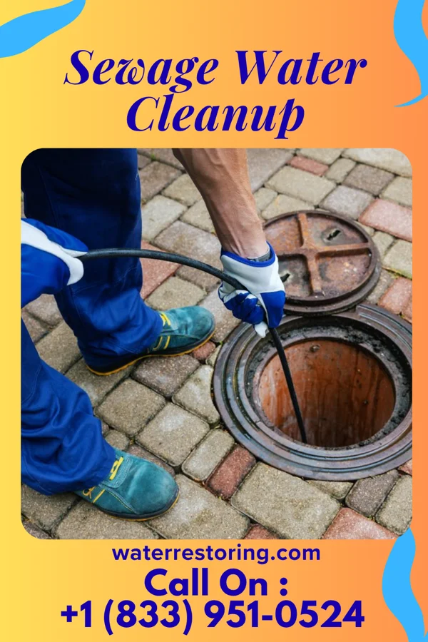Sewage Water Cleanup in German Valley, IL