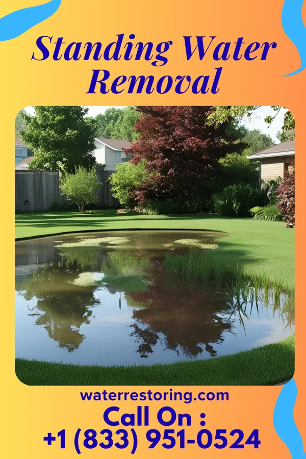 Standing Water Removal in German Valley, IL